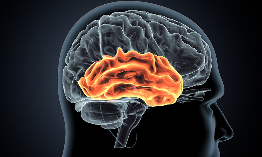 temporal-lobe-epilepsy-right-lobe-of-brain_1