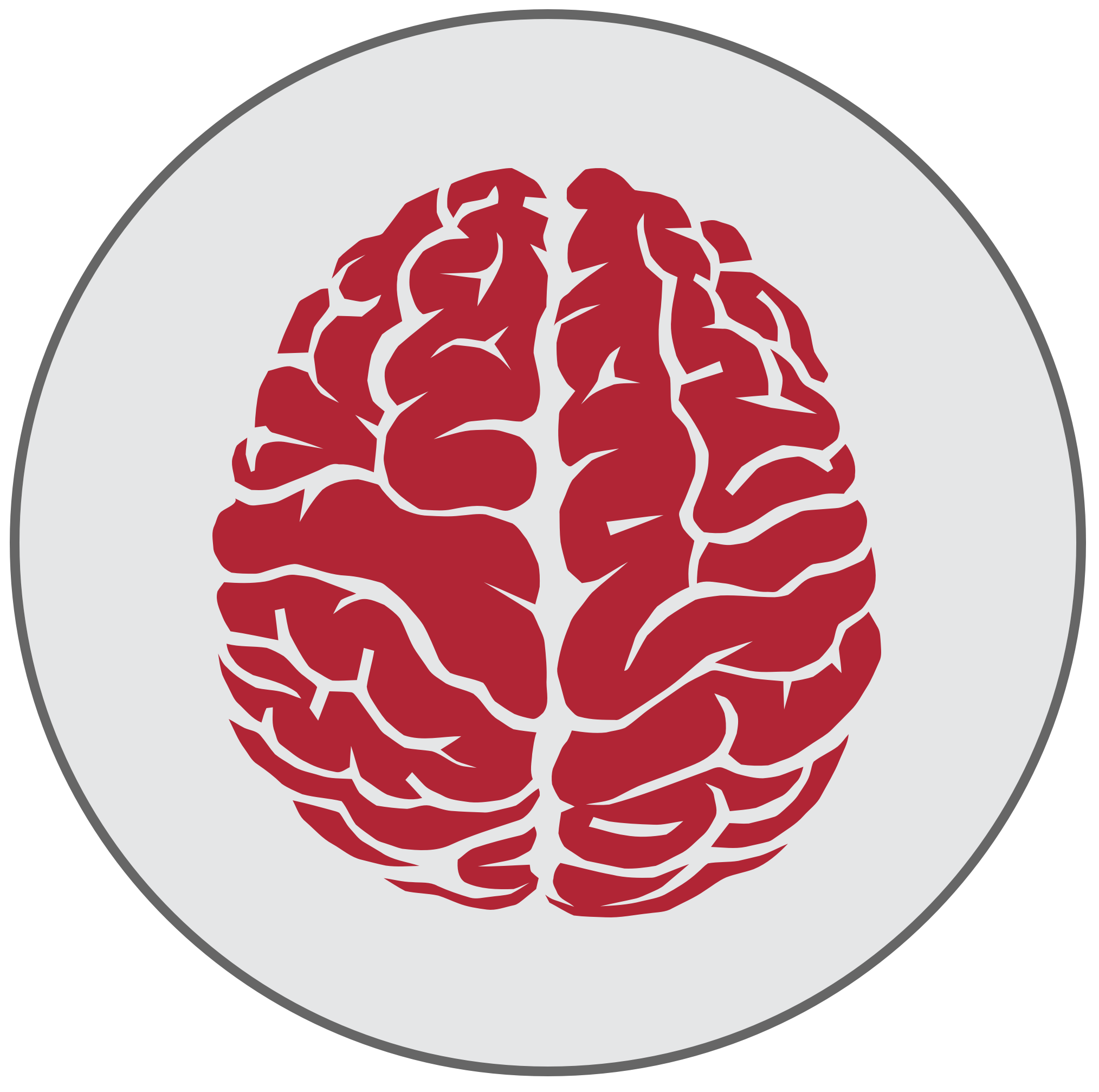 BrainGraphicEpilepsy