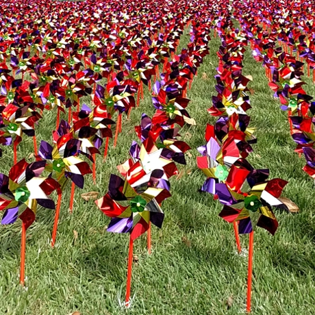 16 Pinwheel News Tile 460x460