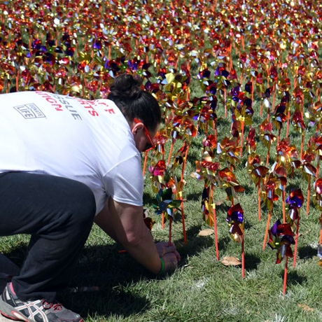 23 Pinwheels Creatively Remember Organ Donors