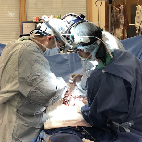 26-500th Heart Transplant