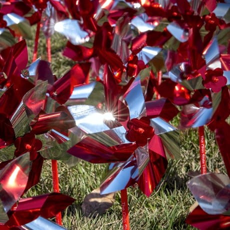 37 Pinwheel Planting 2019