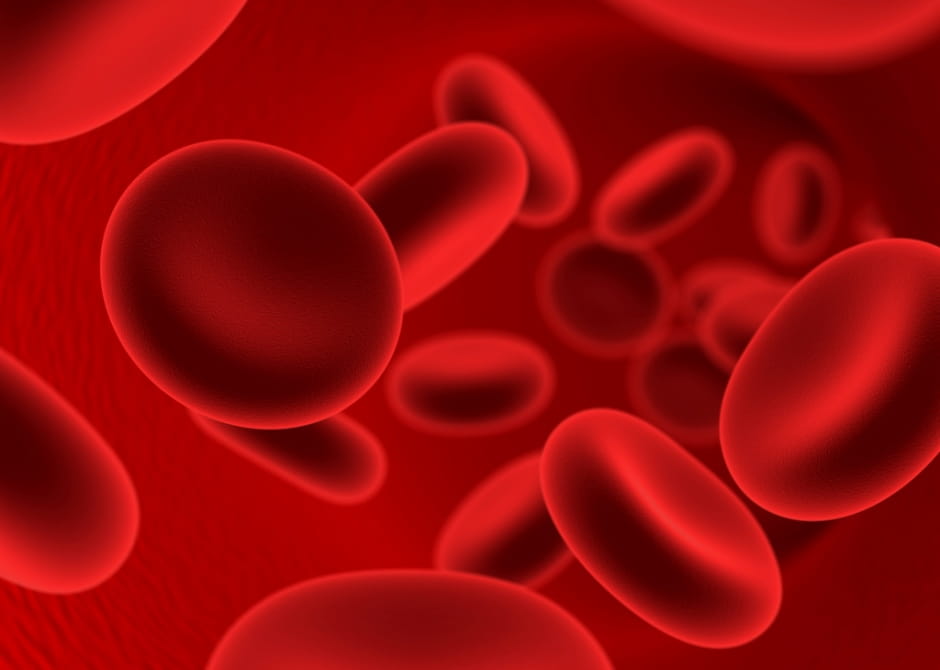 blood cells
